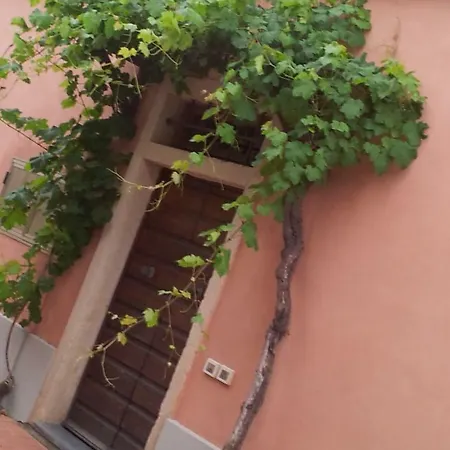 La Casa Rossa Appartamento Rosignano Marittimo